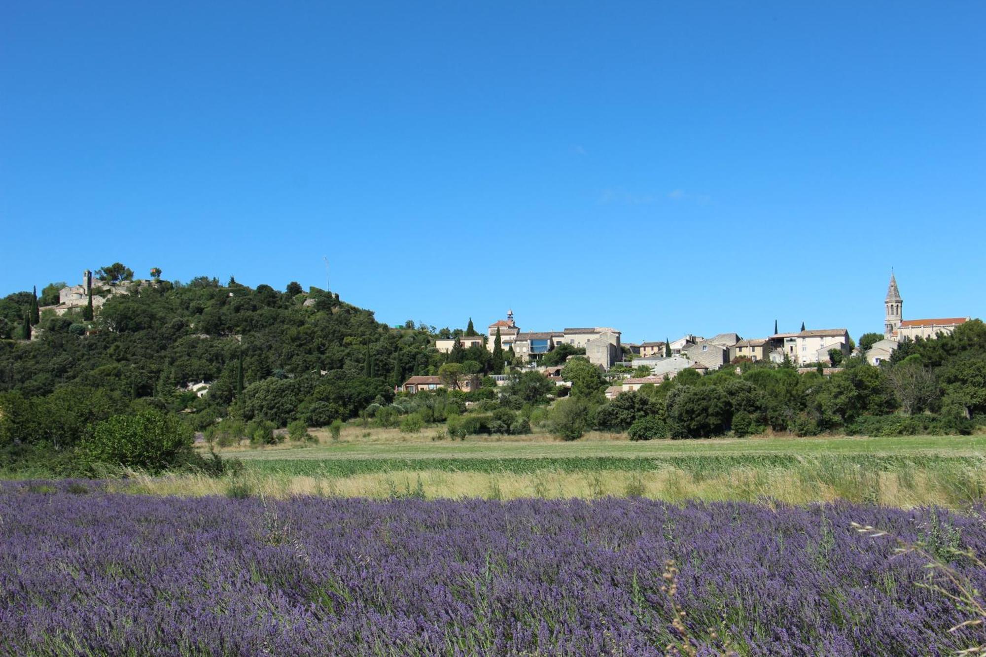 Le Pigeonnier, Gite Des Lucioles En Provence Montsegur-sur-Lauzon Exterior photo